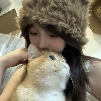 北岸疑云